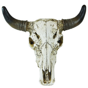 Bull Skull Wall Decor bull skull wall decor | wayfair Bull Skull Wall Decor bull skull wall decor | wayfair