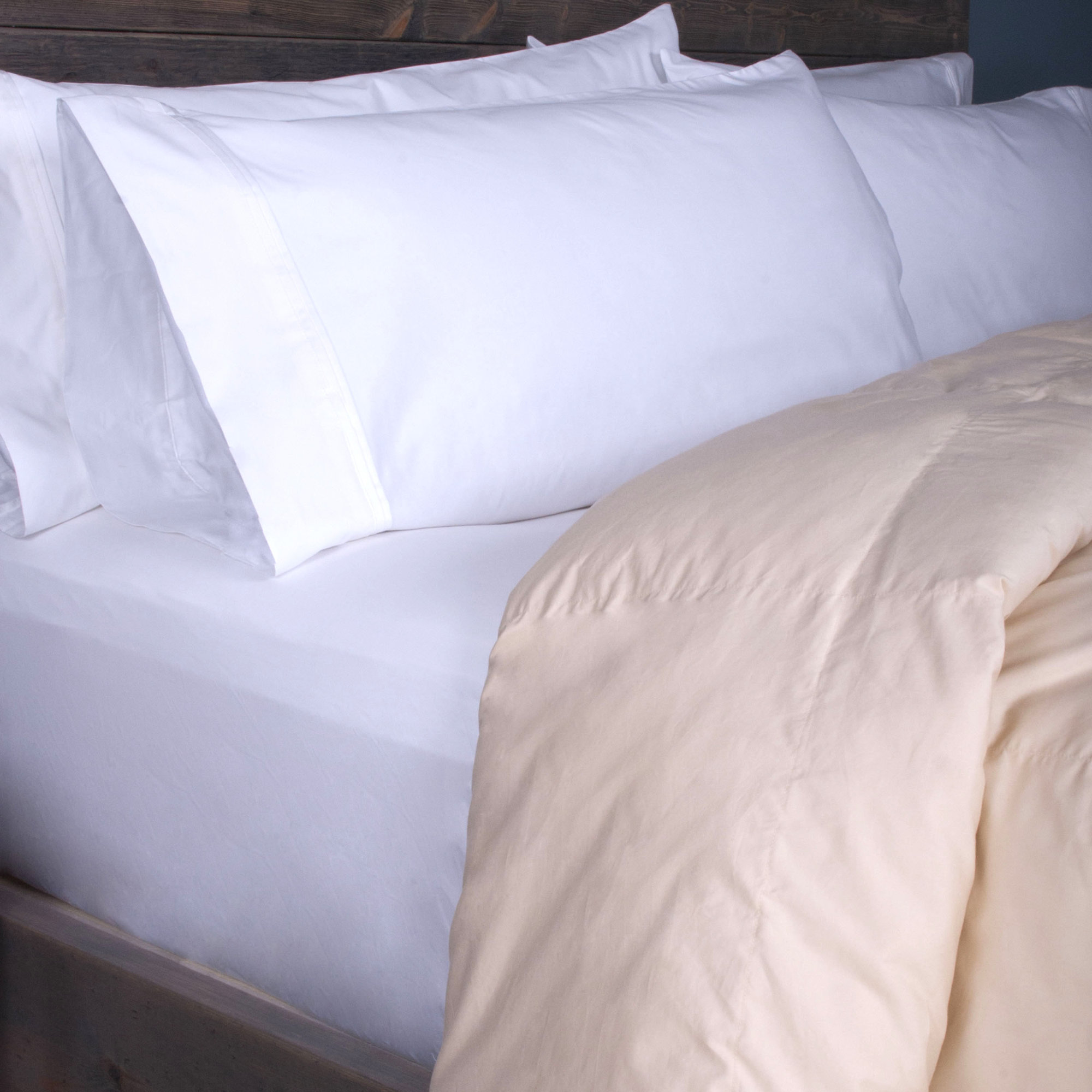 Sealy Down Comforter & Reviews Wayfair