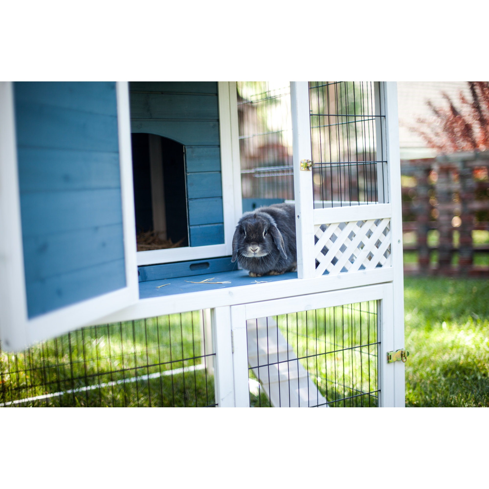 Advantek The Pagoda Rabbit Hutch & Reviews Wayfair