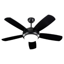 Indoor Ceiling Fans You'll Love - 