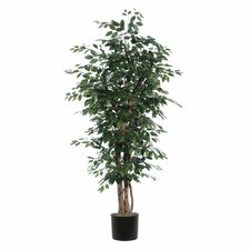 Artificial Trees You'll Love | Wayfair - Fir Ficus Executive Tree in Pot