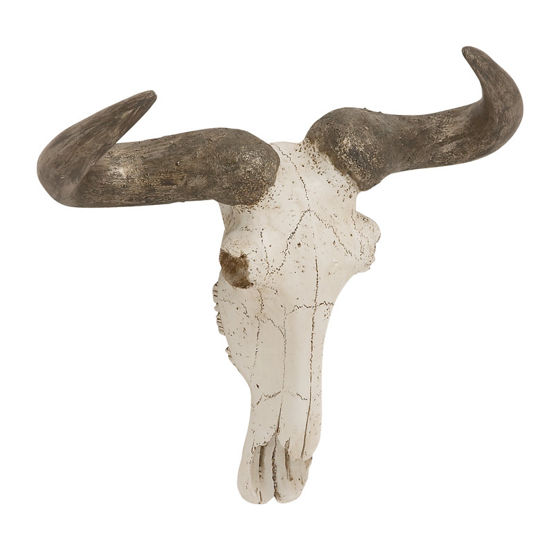 Bull Skull Wall Decor steer skull wall decor & reviews | joss & main Bull Skull Wall Decor steer skull wall decor & reviews | joss & main