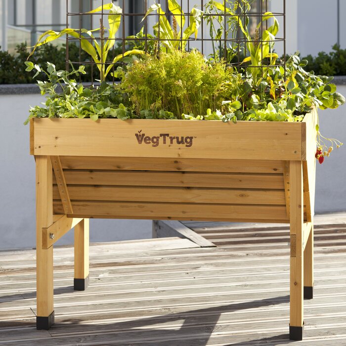 VegTrug Classic VegTrug Planter & Reviews | Wayfair UK