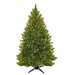 General Foam Plastics 6.5' Evergreen Fir Artificial Christmas Tree with ...
