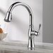 Delta Cassidy Single Handle Standard Kitchen Faucet With Spray 