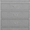 Cahill 5 Drawer Chest