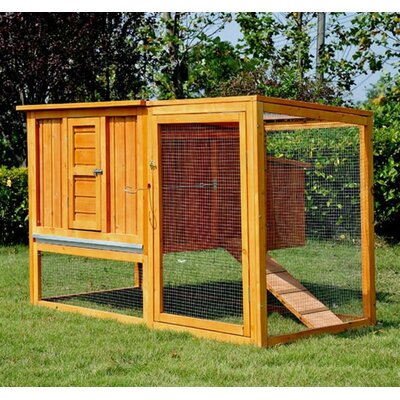 https://secure.img1-fg.wfcdn.com/lf/49/hash/37718/27502096/1/Pawhut-Chicken-Coop-Hen-House-with-Nesting-Box-and-Outdoor-Run.jpg