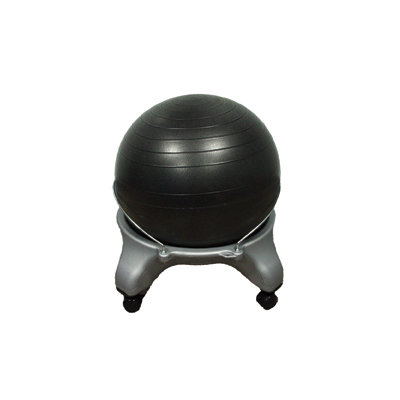Exercise Ball Ergonomic Chair Exercise Ball Ergonomic Chair