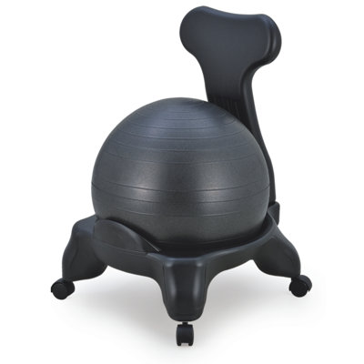 Exercise Ball Ergonomic Chair Exercise Ball Ergonomic Chair