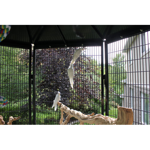 K9 Kennel 8 Sided Bird Aviary Wayfair
