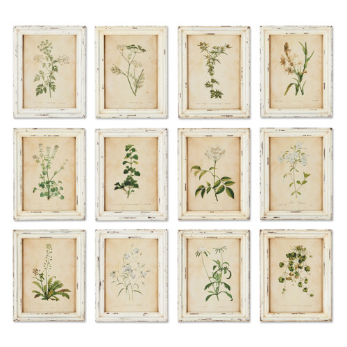 Wild Flower Botanical 12 Piece Framed Graphic Art Set