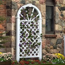 Trellises You'll Love | Wayfair