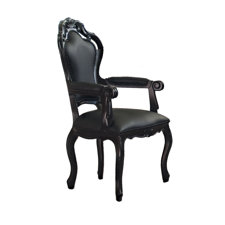 Best Dining Arm Chair with Cushion