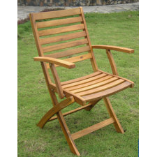 #2 Sandy Point Folding Dining Arm Chair (Set of 2)