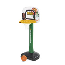lebron james mini basketball hoop
