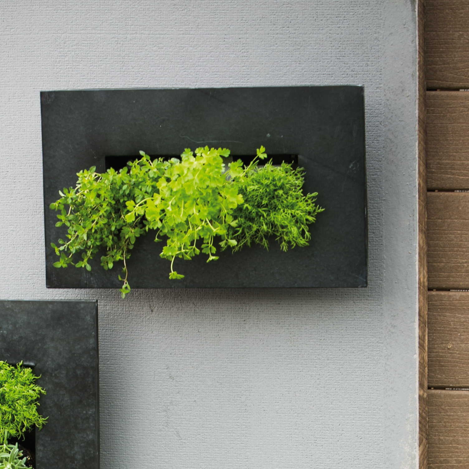 Evergreen Enterprises Inc Zinc 12 Pocket Metal Wall Planter Ebay Details About Evergreen Enterprises Inc Zinc 12 Pocket Metal Wall Planter