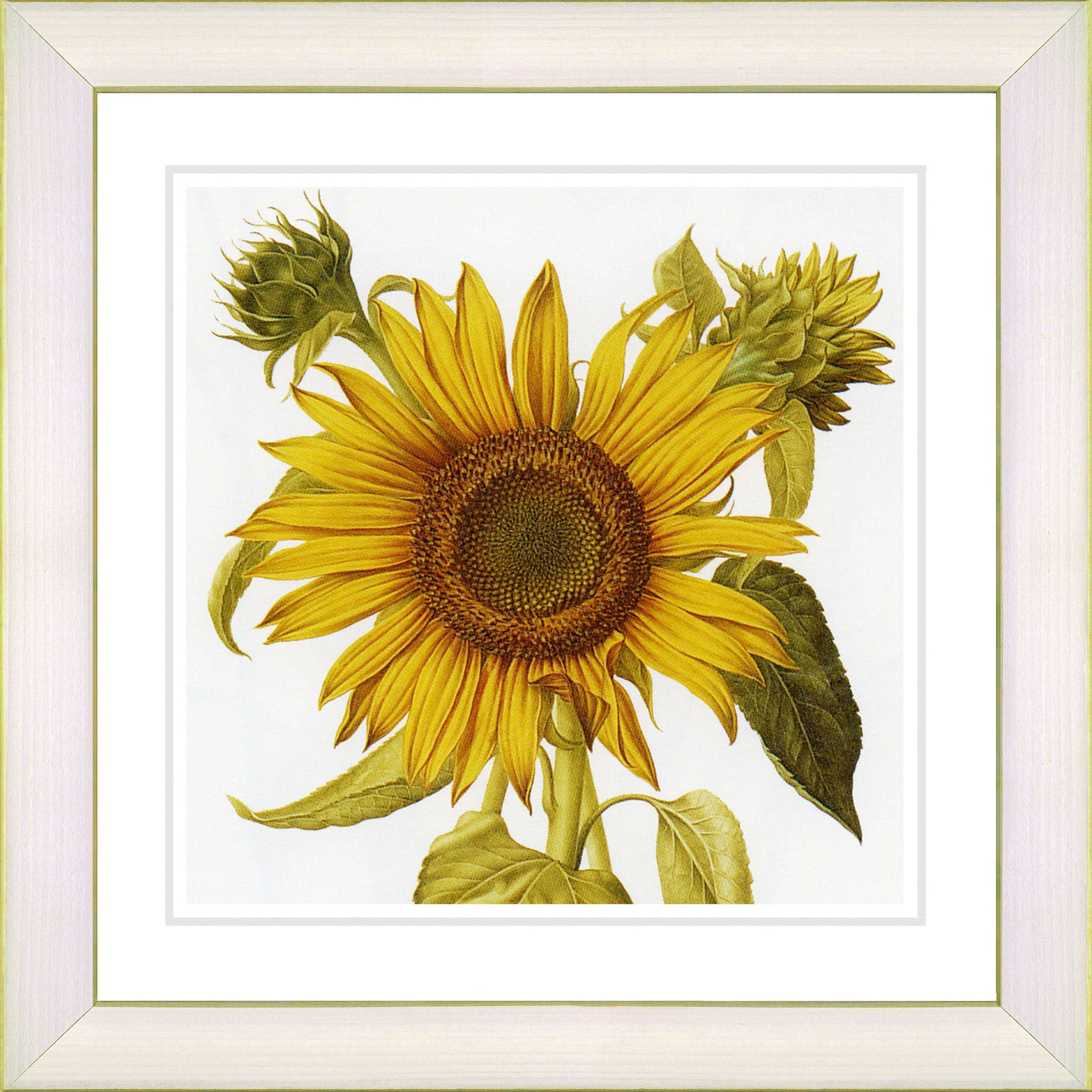 36w by zhee singer framed painting print