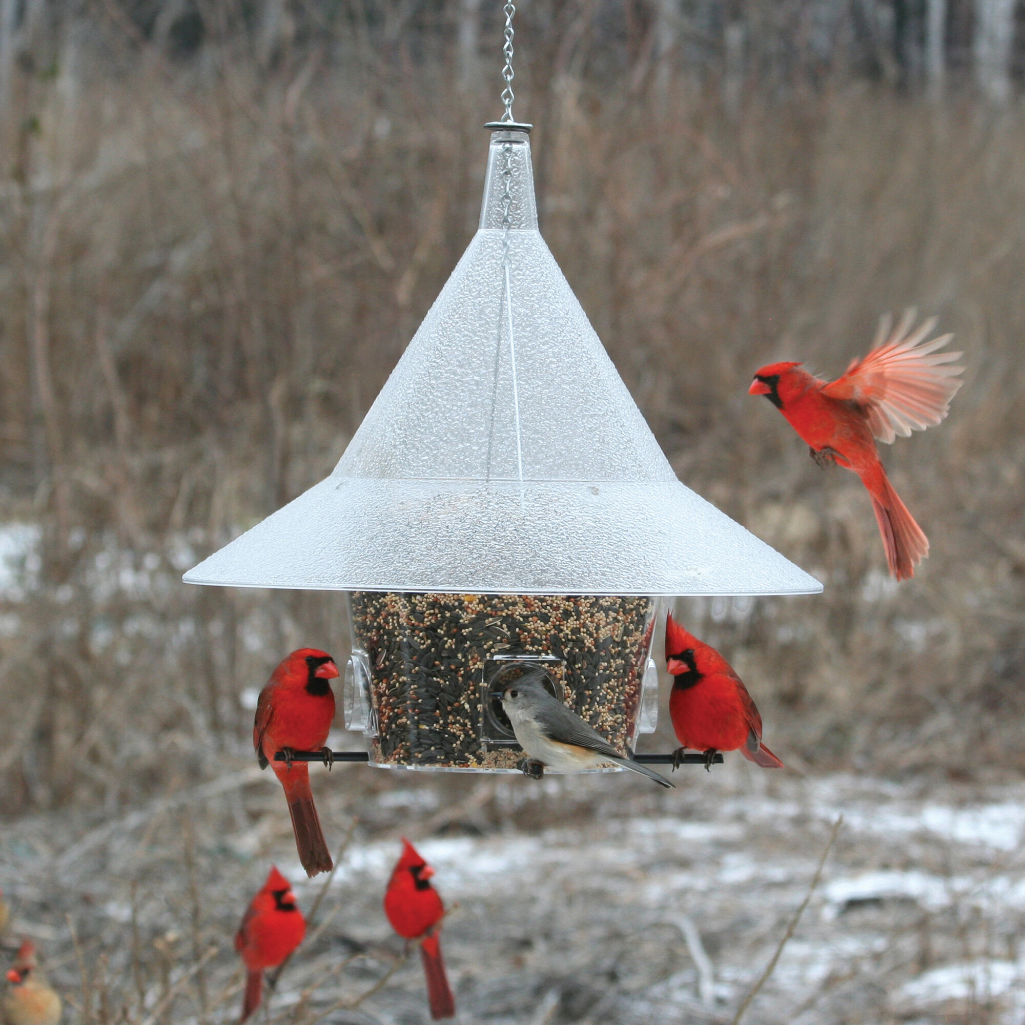 Кормушка для птиц с защитой от снега