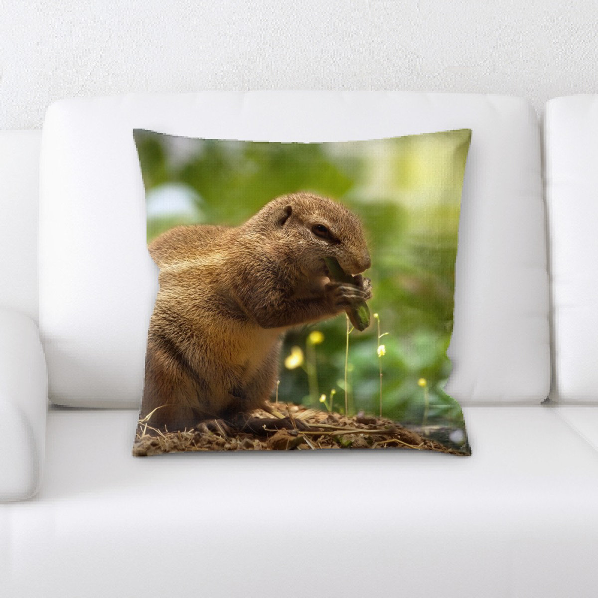 squirrel throw pillow