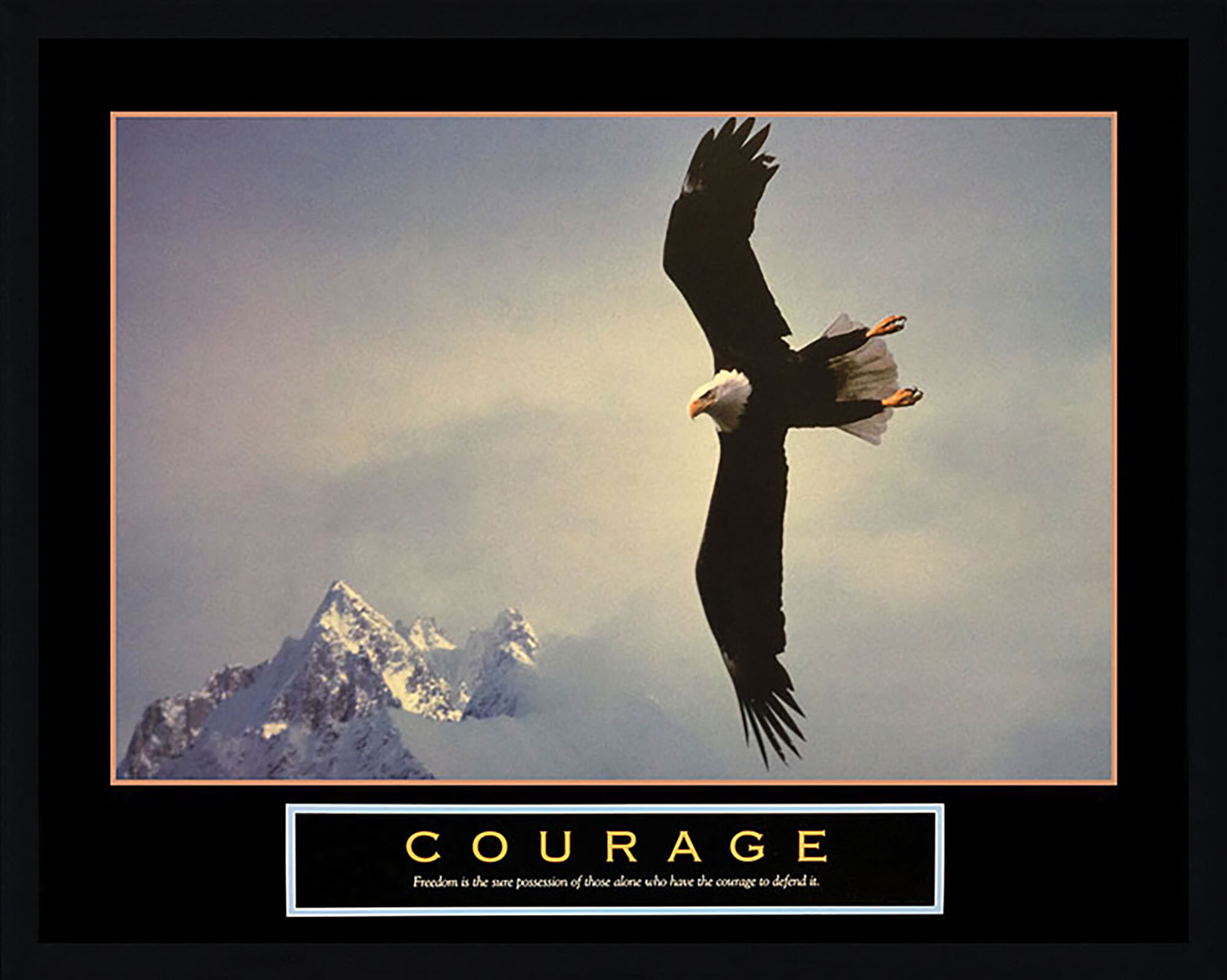 Latitude Run 'Courage Bald Eagle' Framed Graphic Art Print 192264540566 ...