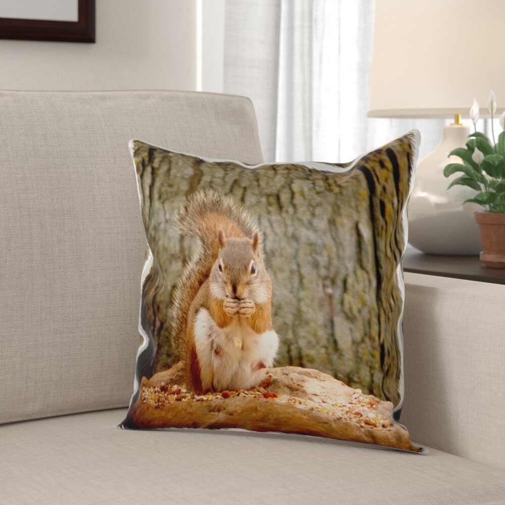 squirrel pillow