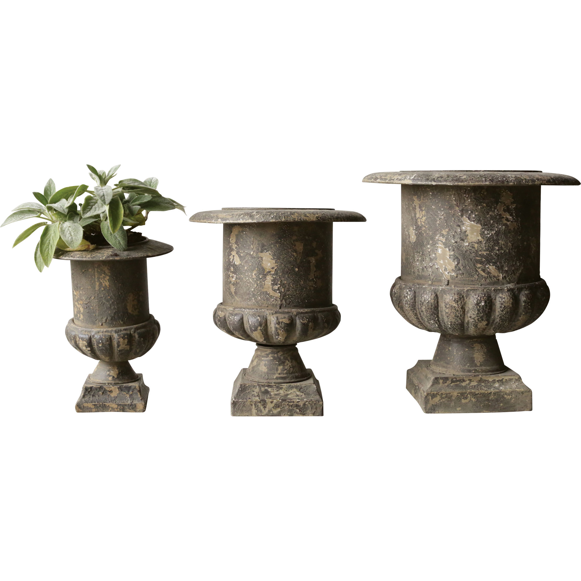 Ophelia & Co. Knopp 3Piece Metal Urn Planter Set eBay