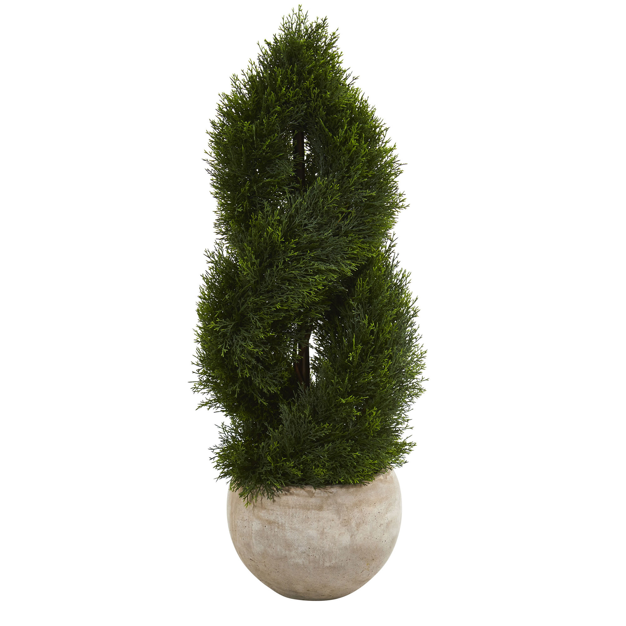 Williston Forge Double Spiral Floor Pond Cypress Topiary In Planter Details About Williston Forge Double Spiral Floor Pond Cypress Topiary In Planter