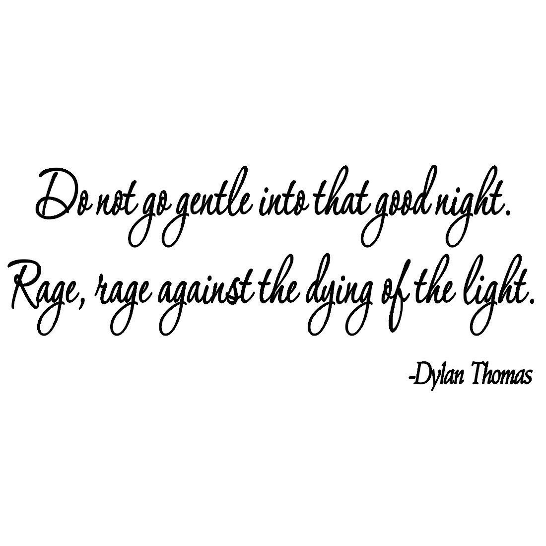 Do not go gentle into that good night essay questions