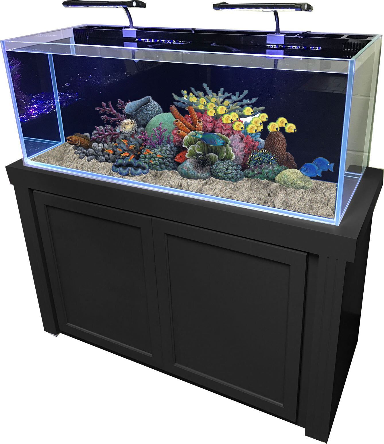 RJ Enterprises 60 Gallon Rimless Glass Combo Aquarium Kit ...