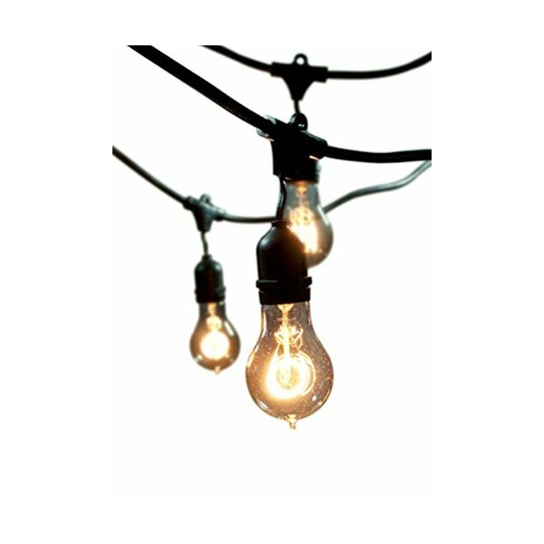 Birch Lane Vintage Edison String Lights & Reviews | Birch Lane