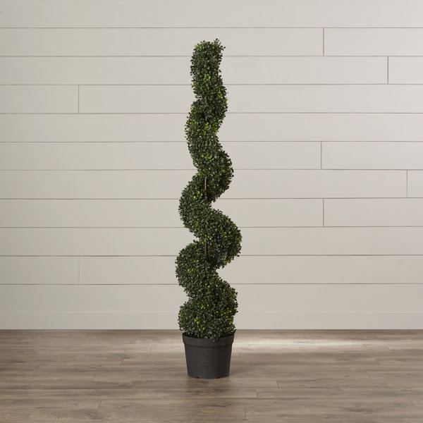 Faux Spiral Boxwood Topiary & Reviews Joss & Main