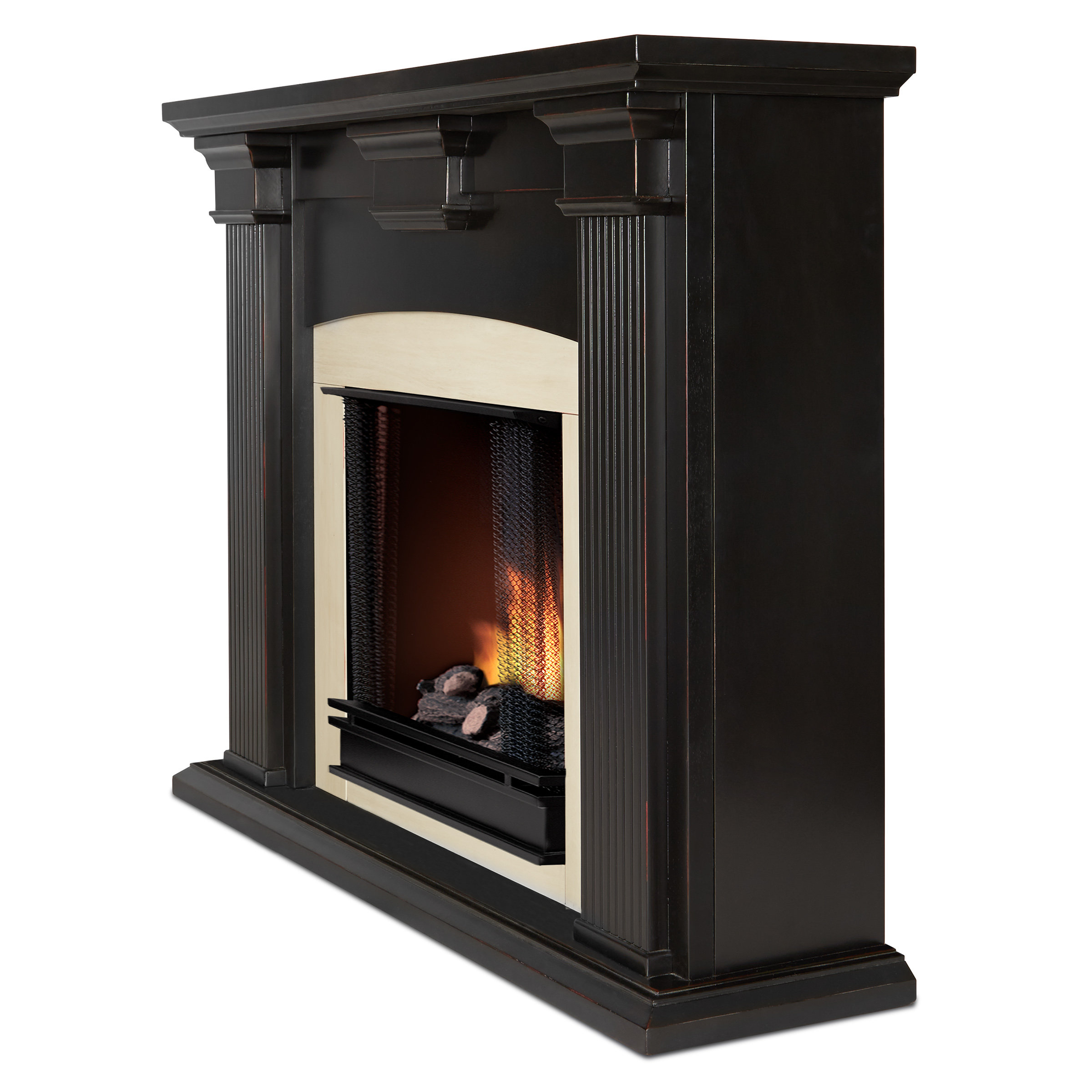 Real Flame Adelaide Gel Fuel Fireplace & Reviews Wayfair