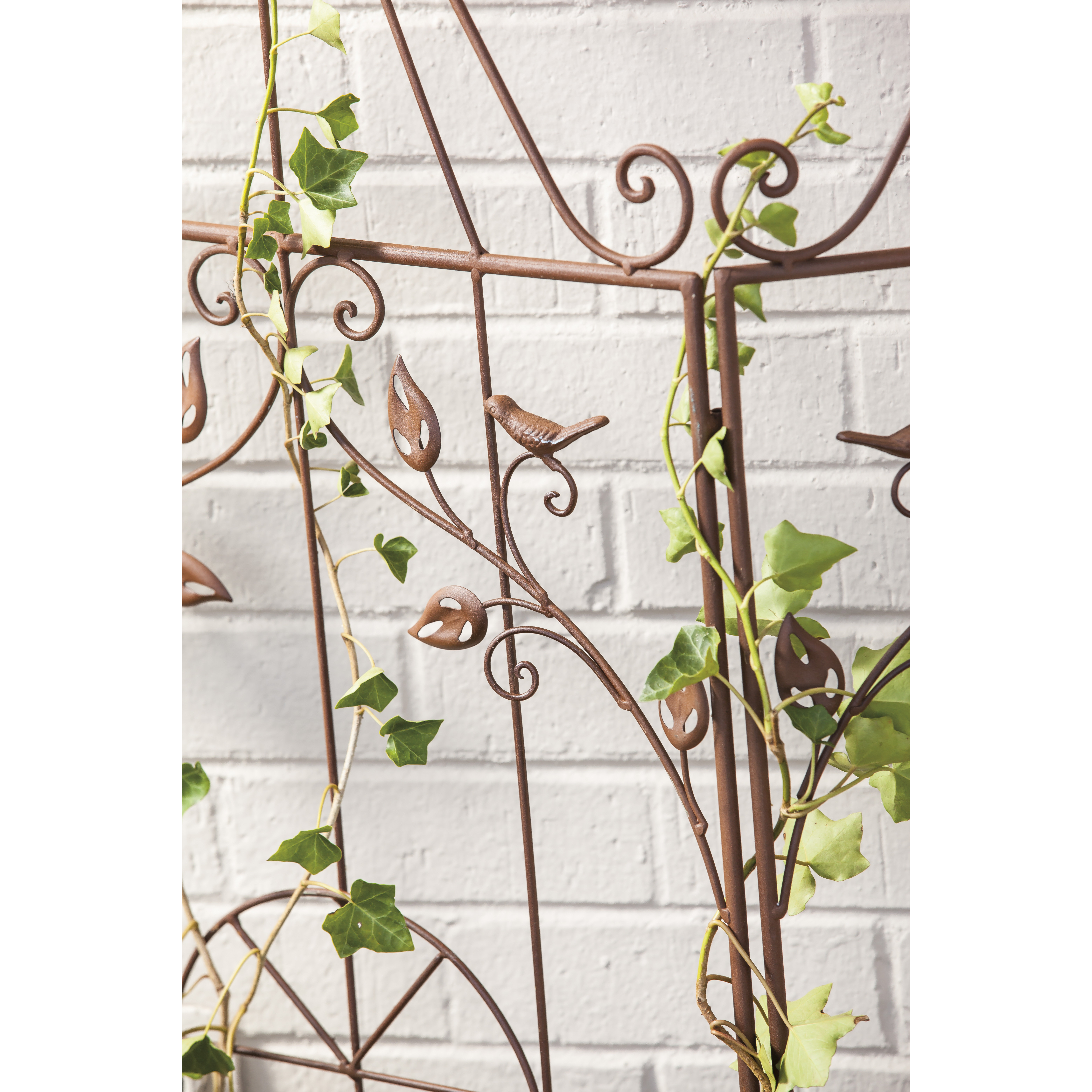 Evergreen Enterprises, Inc Bird Cage Trellis with 3 Panel Folding