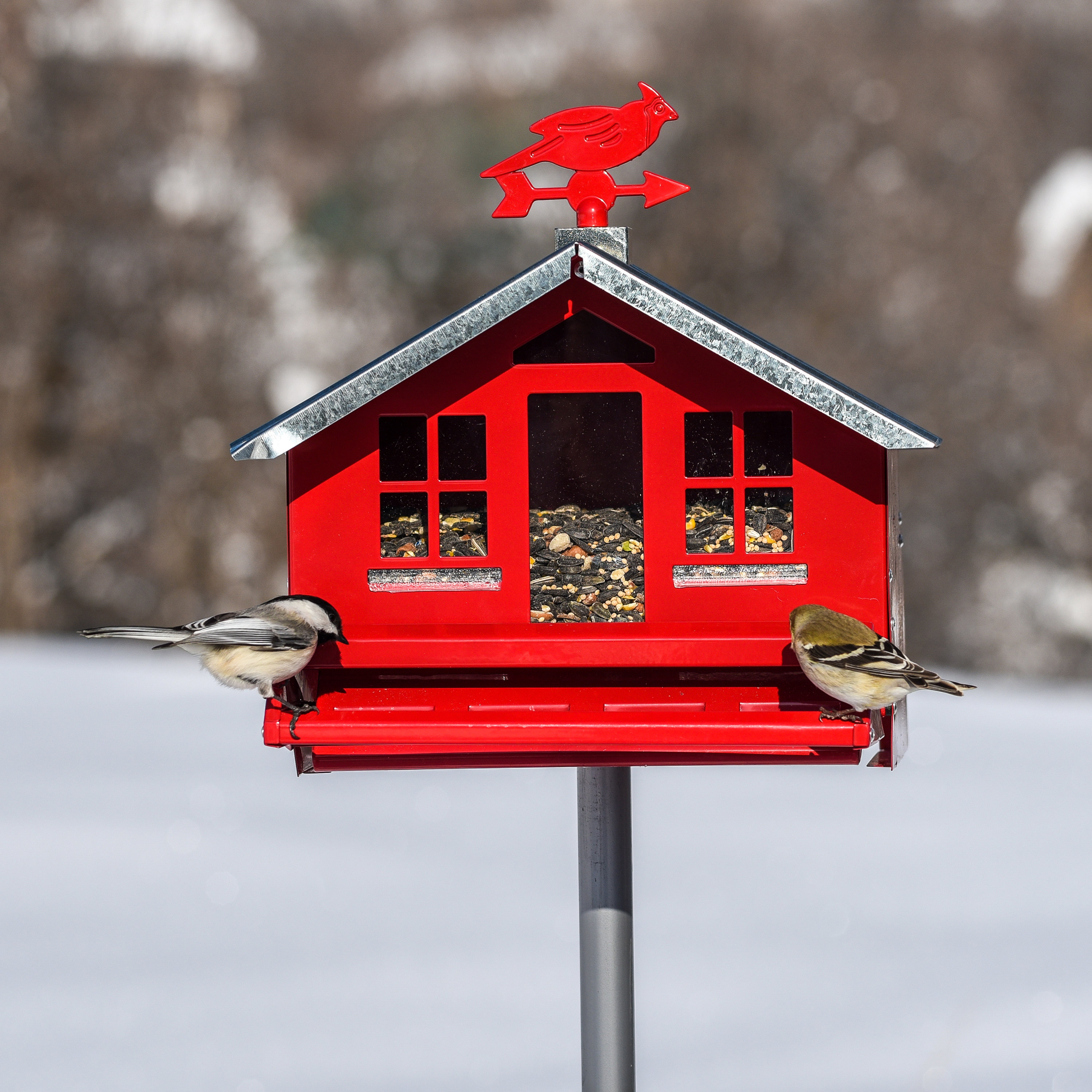 Country style bird houses Country style bird houses