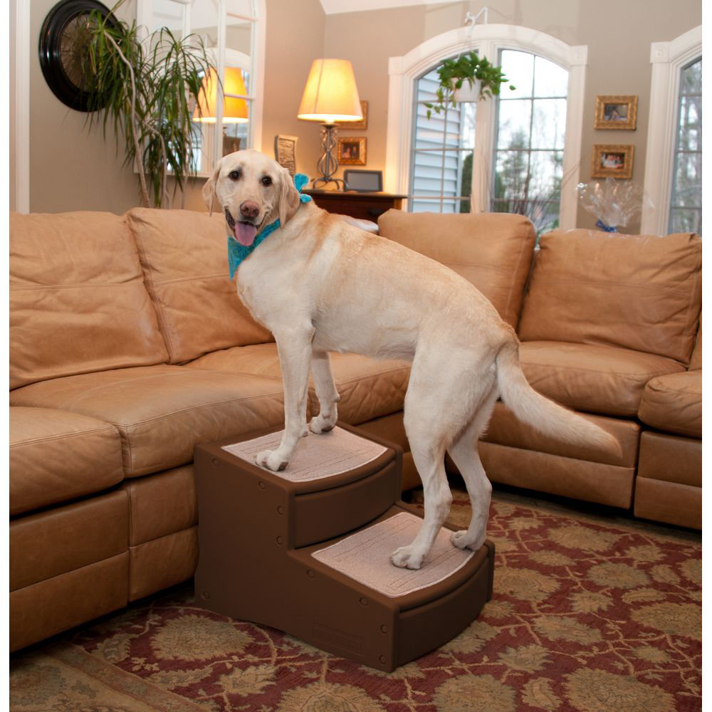 Pet Gear Easy Steps II Extra Wide 2 Step Pet Stair & Reviews | Wayfair