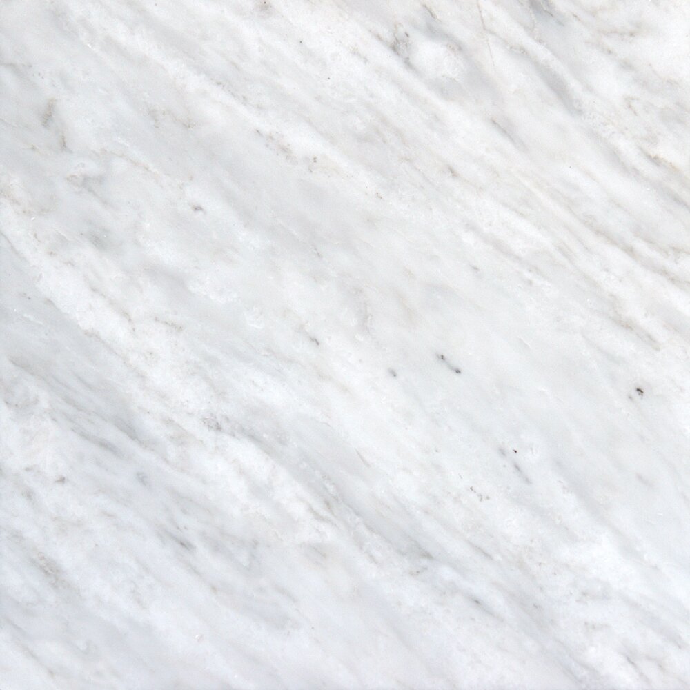 MSI 12'' x 12'' Marble Field Tile in Arabescato Carrara ...