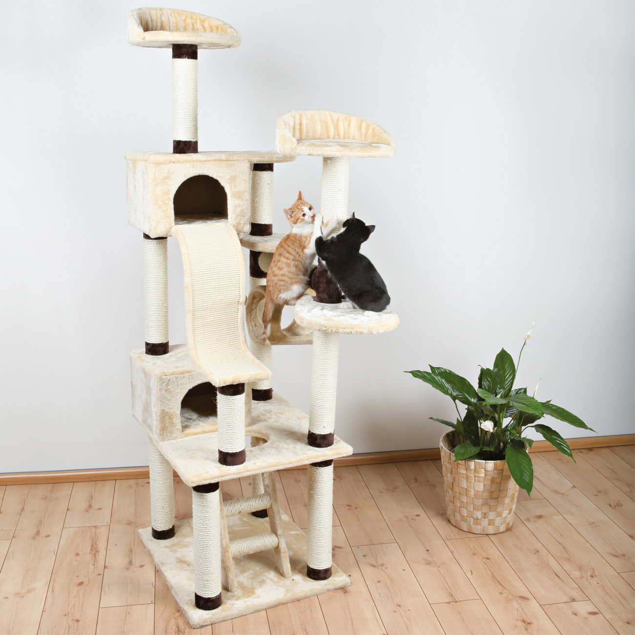 Trixie 82" Adiva Playground Cat Tree & Reviews Wayfair
