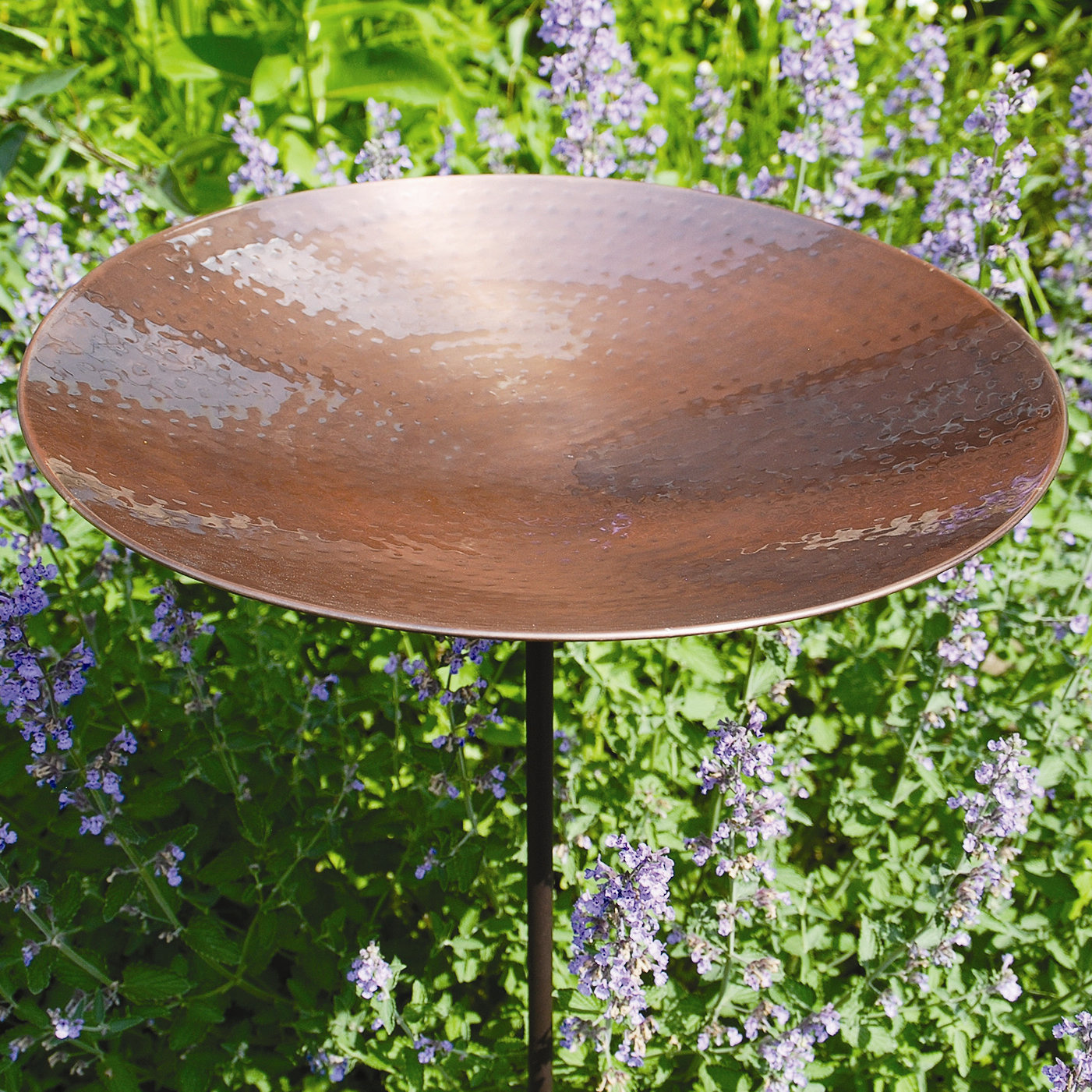 ACHLA Burnt Copper Bird Bath & Reviews Wayfair