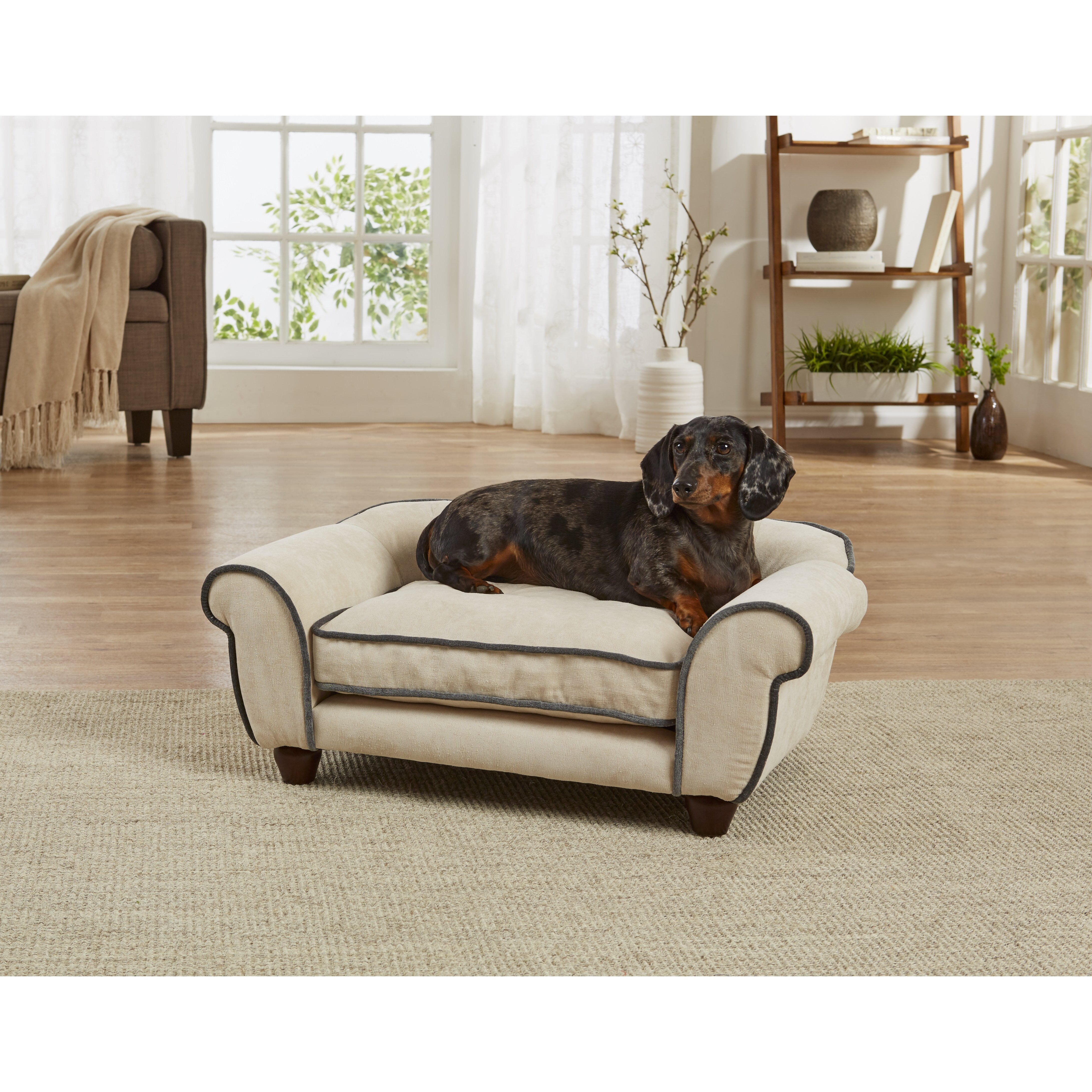 Enchanted Home Pet Lily Cleo Velvet Dog Sofa with Cushion & Reviews