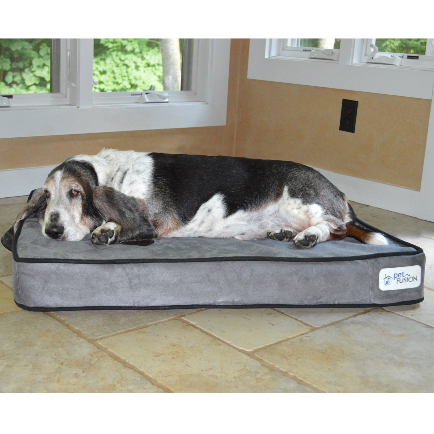 PetFusion Serenity Lounge Dog Bed Solid 4" Memory Foam & Reviews Wayfair