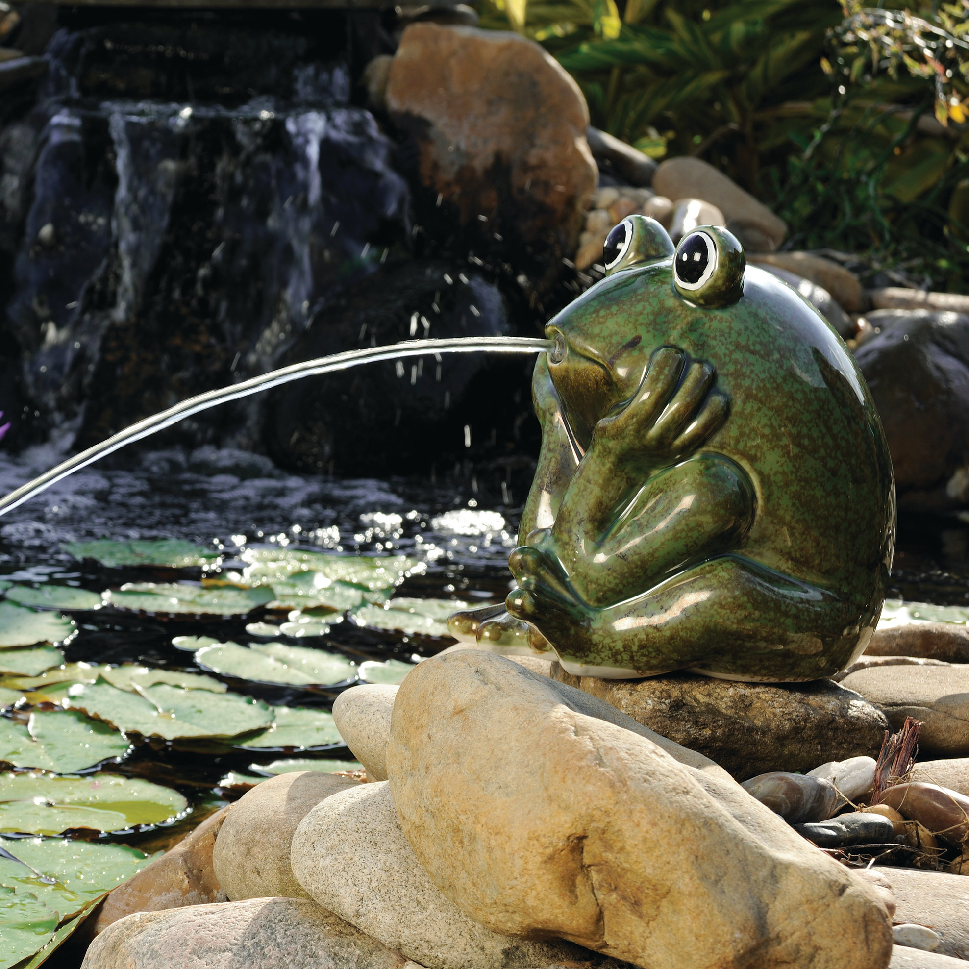 thinking frog statue