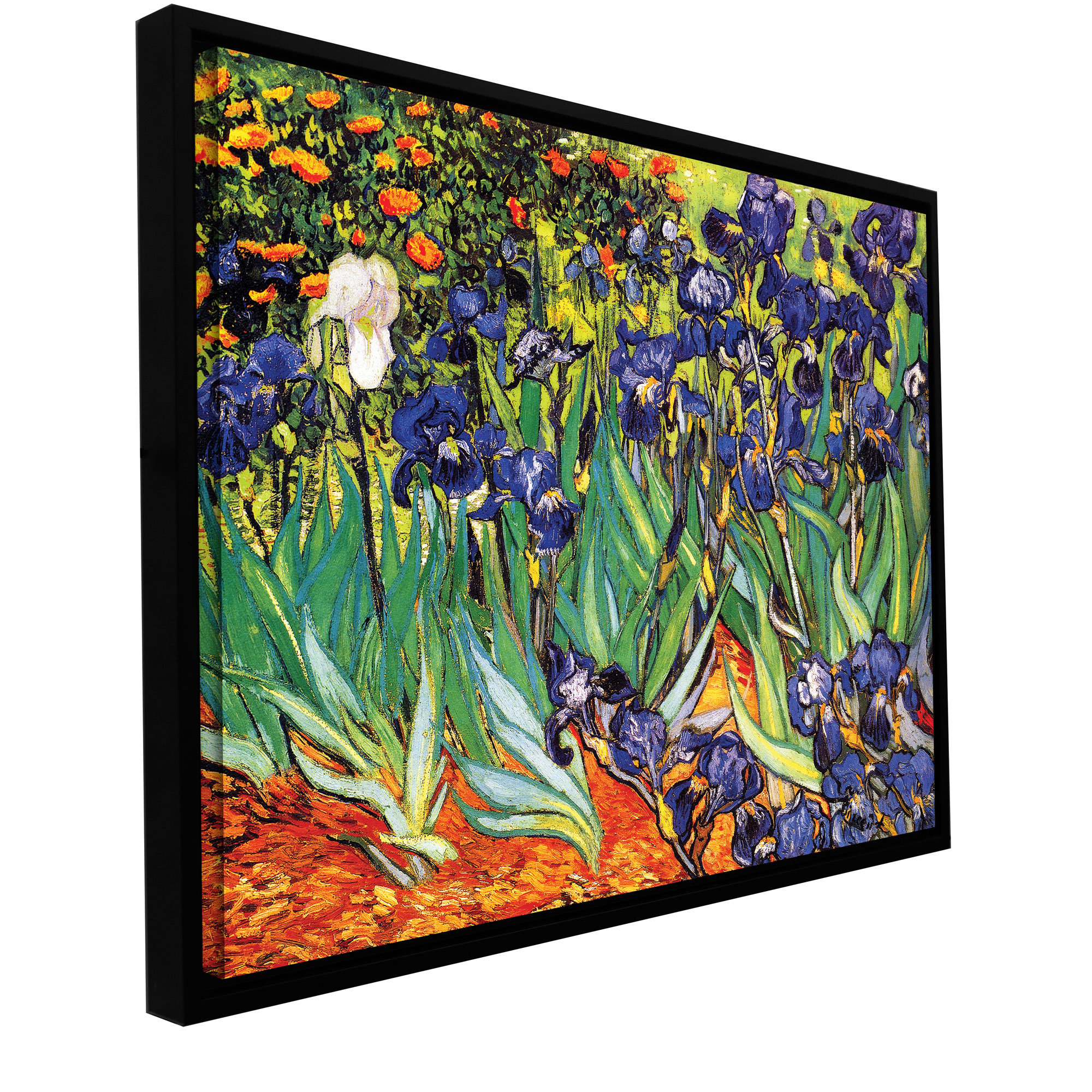 ArtWall 'Irises in the Garden' by Vincent Van Gogh Framed Painting