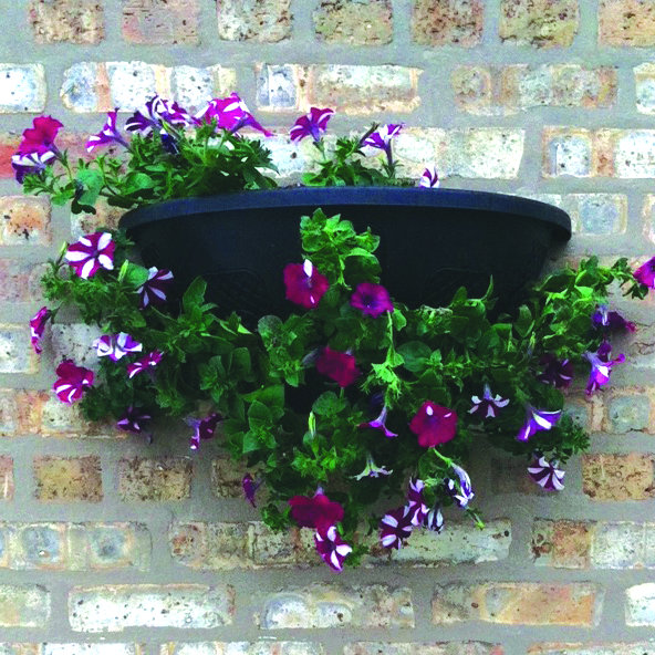 Plantopia Plastic Wall Planter & Reviews Wayfair.ca