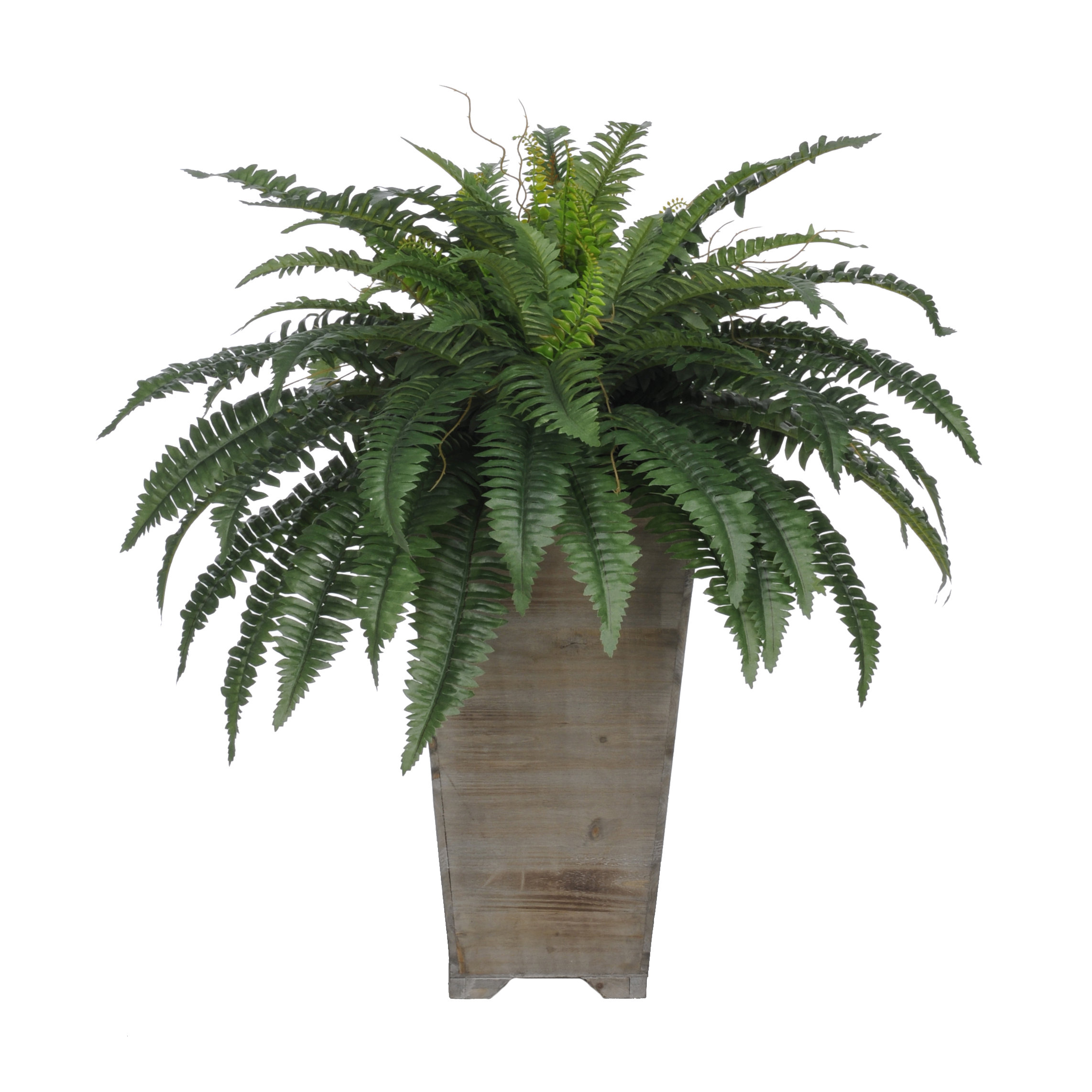 House of Silk Flowers Artificial Fern Floor Plant in Planter & Reviews Wayfair