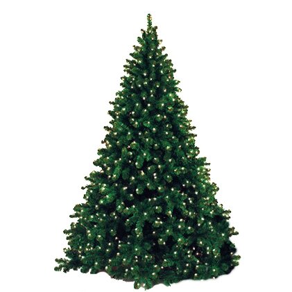 Queens of Christmas 15' Christmas Tree | Wayfair