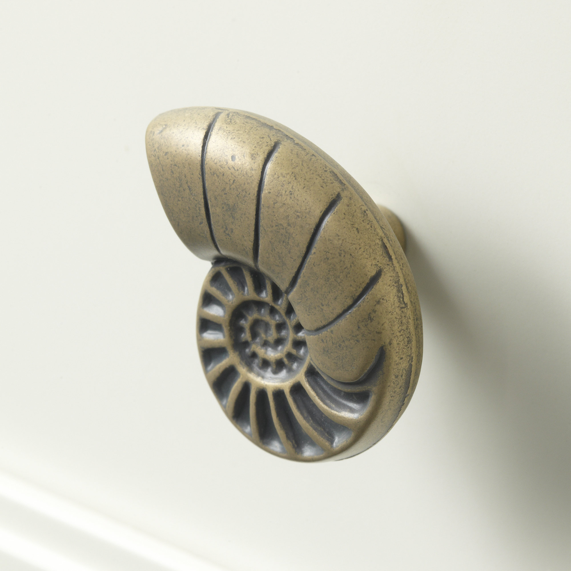 Birch Lane Nautical Hardware Novelty Knob & Reviews | Birch Lane