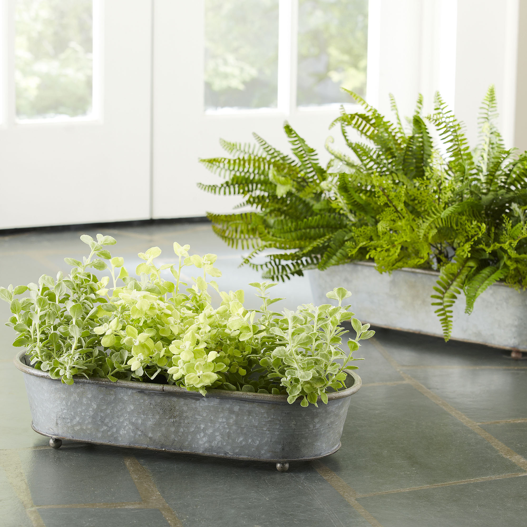 Birch Lane Galvanized Metal Planters &amp; Reviews Birch Lane