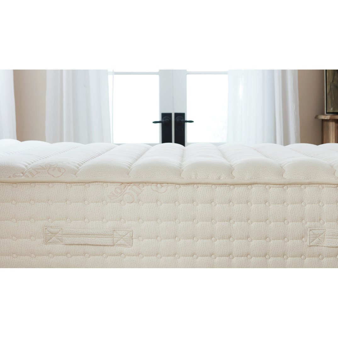Plush Beds Luxury Bliss 12" Latex Foam Mattress Wayfair