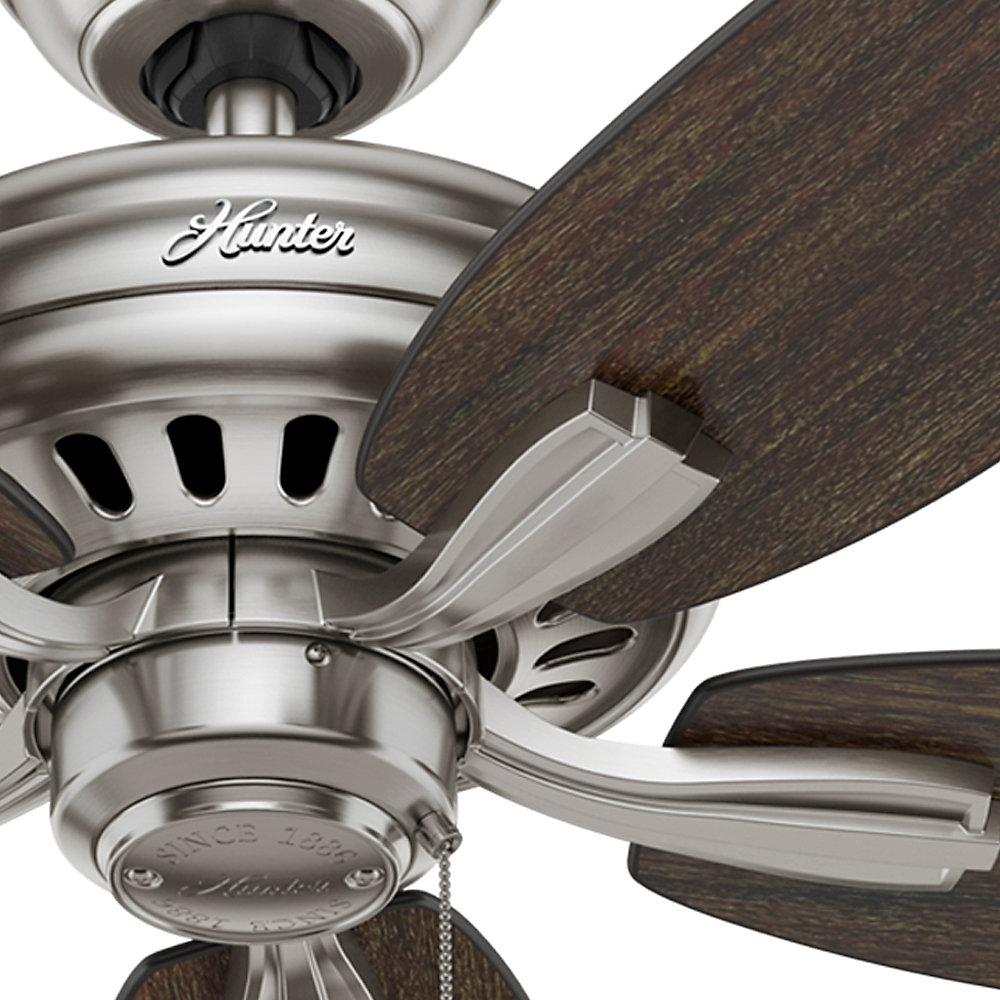 Hunter Fan 52 Newsome 5 Blade Ceiling Reviews Wayfair Hunter Fan 52 Quot Newsome 5 Blade Ceiling
