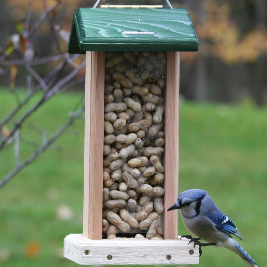 Birds Choice Cedar Whole Peanut Hopper Bird Feeder Wayfair
